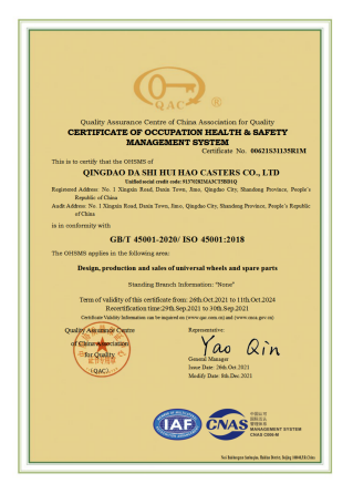 大世汇豪职业健康管理体系中英文